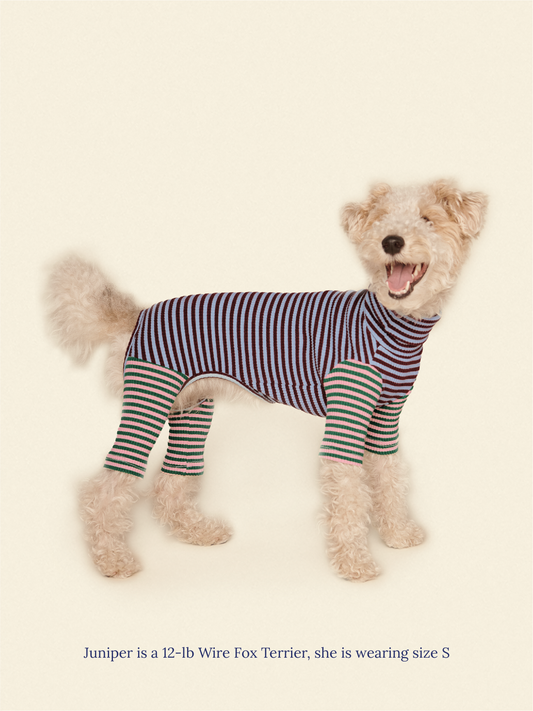 Little Beast Dog Onesie Earth and Sky Onesie