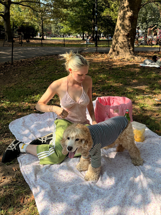 Little Beast Dog Onesie Earth and Sky Shirt