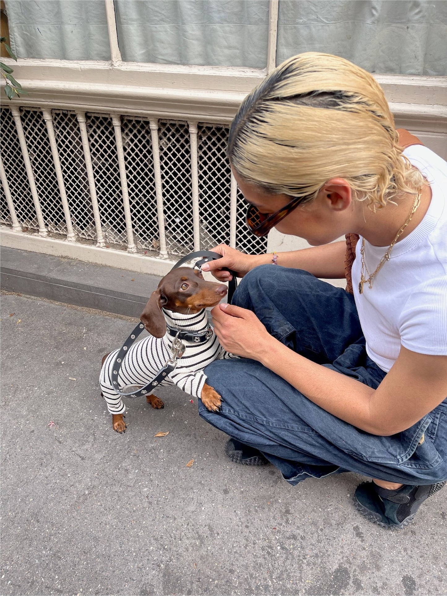 Little Beast Dog Collar Flower Power Collar - Midnight