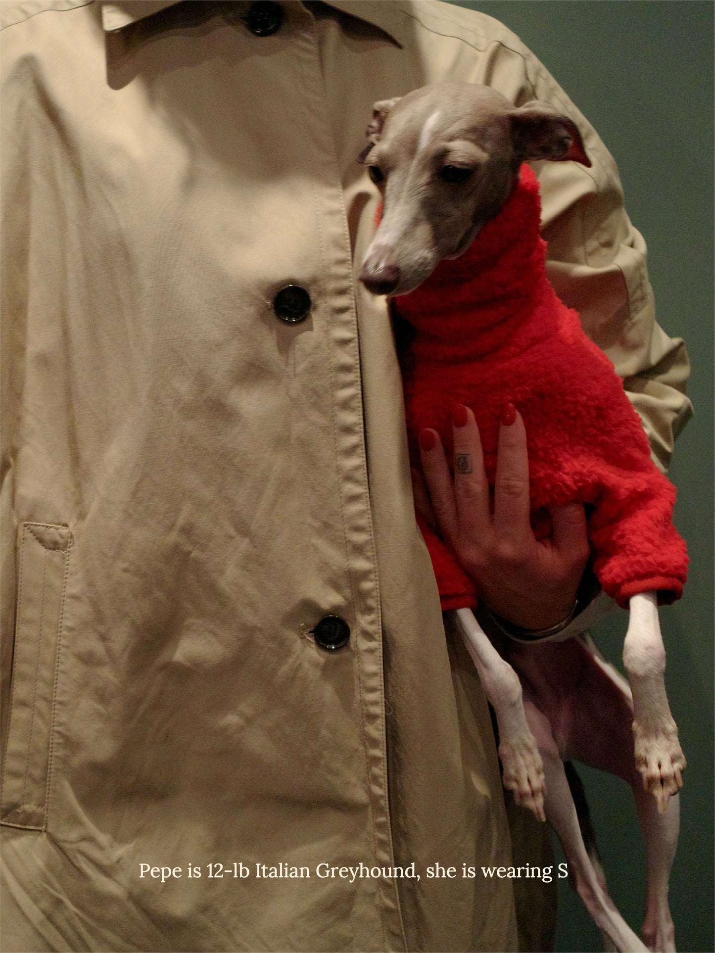 Little Beast Dog Fleece Shirt Hot Sauce Fleece Shirt