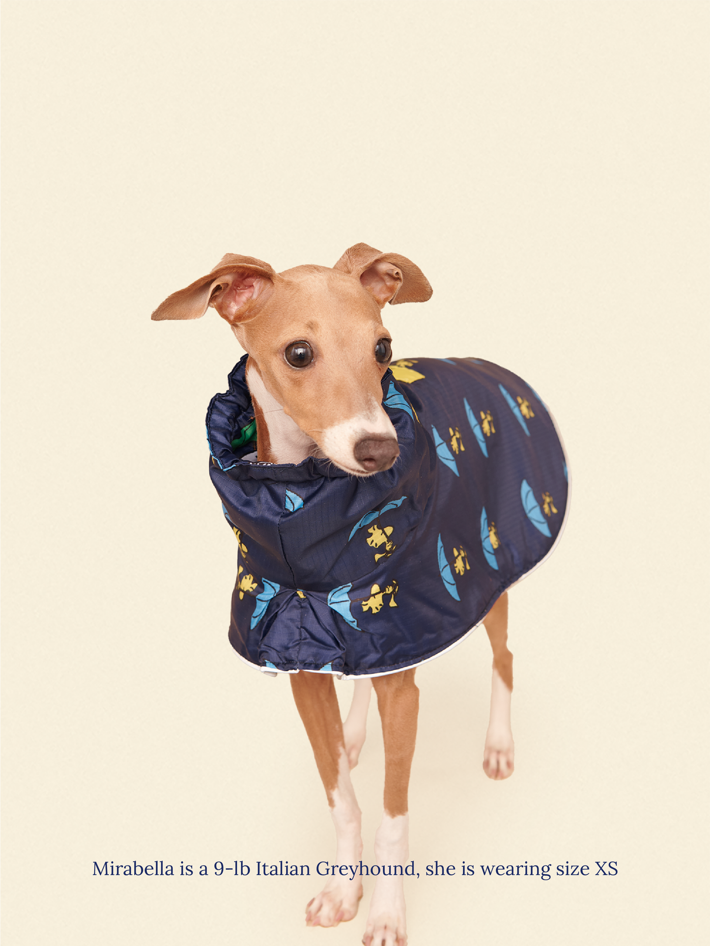 Little Beast Dog Raincoat Peanut Raincoat - Navy