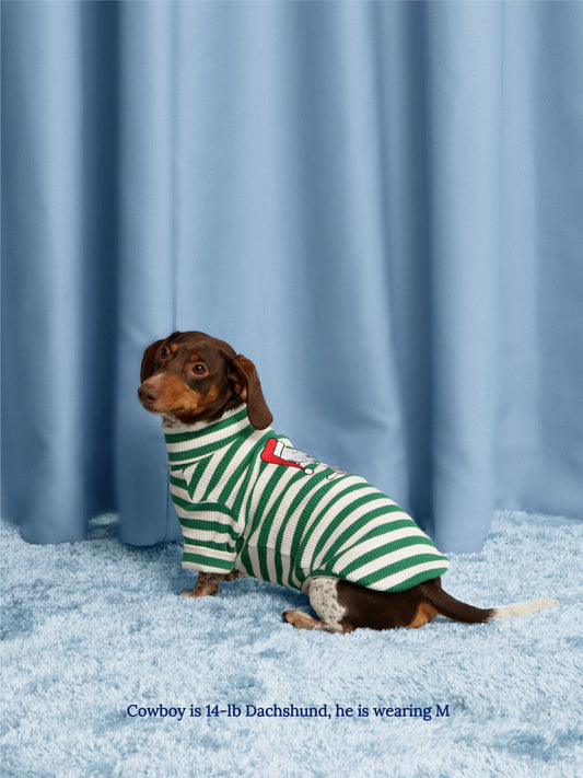 Little Beast Dog Stripe Shirt Snoopy Gift Stripe Shirt - PEANUTS