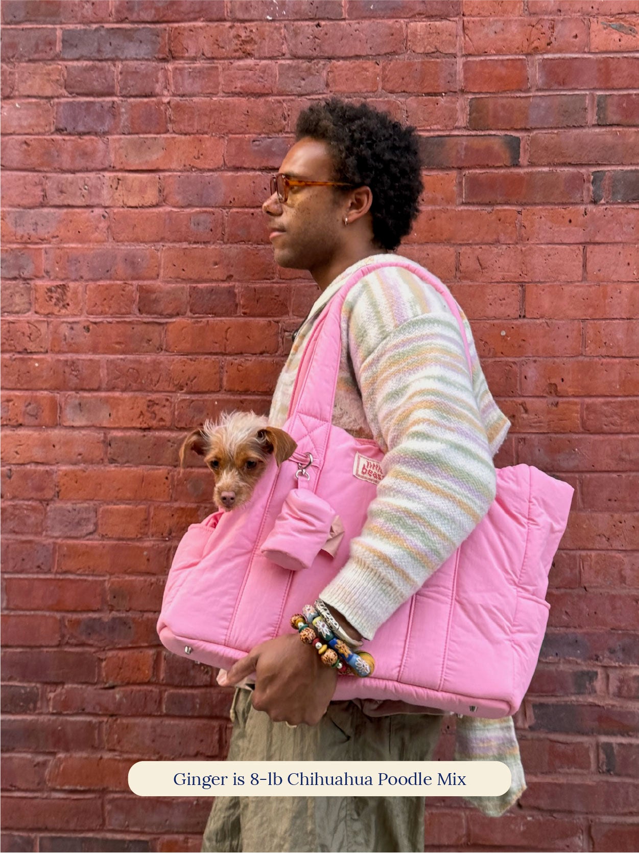 Little Beast Dog Carrier The Little Beast Carrier - Rosé