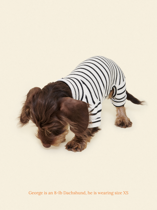 Little Beast Dog Onesie World's Your Oyster Onesie