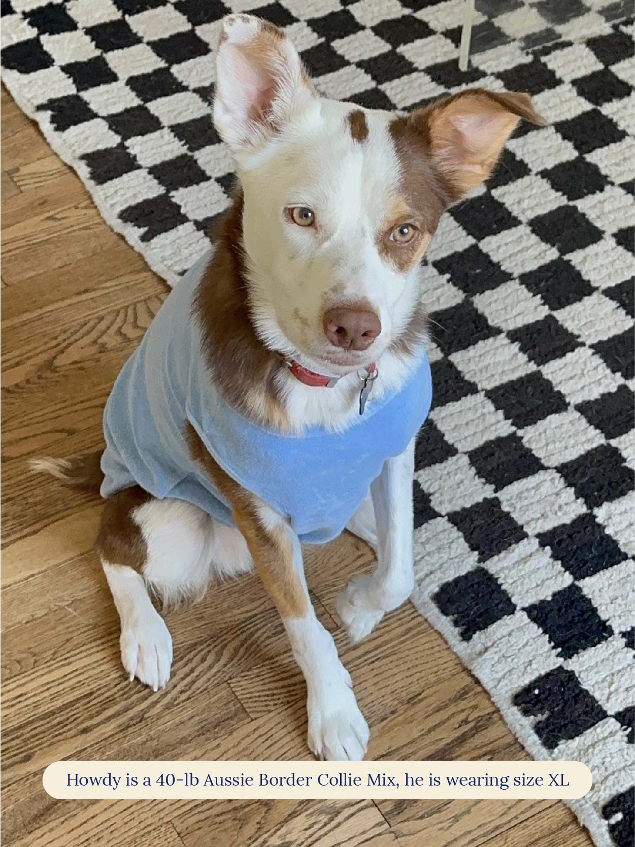 littlebeastus Dog Tank Top Hot Girl Summer Tank Top - Blue