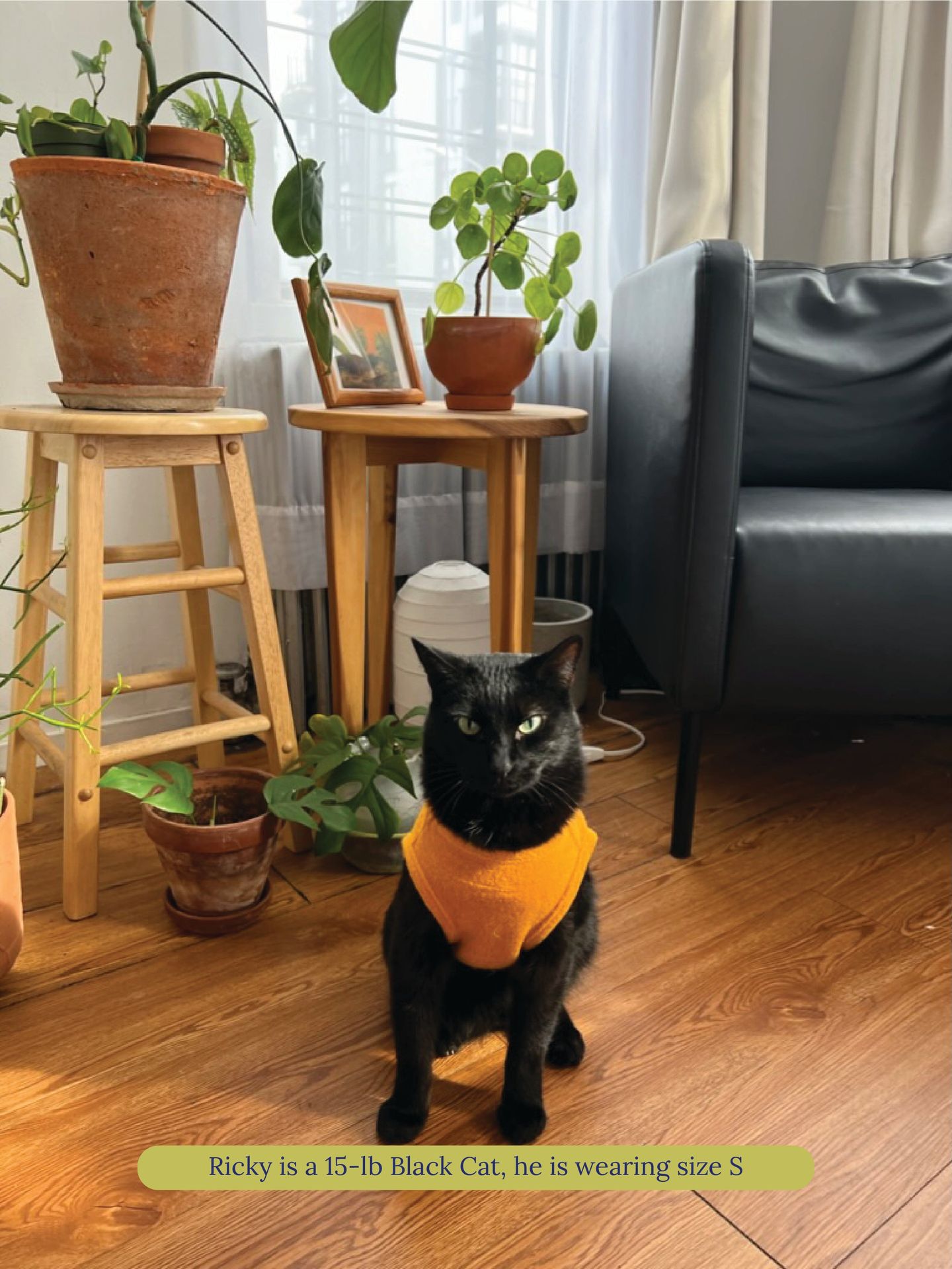 littlebeastus Dog Tank Top Hot Girl Summer Tank Top - Orange