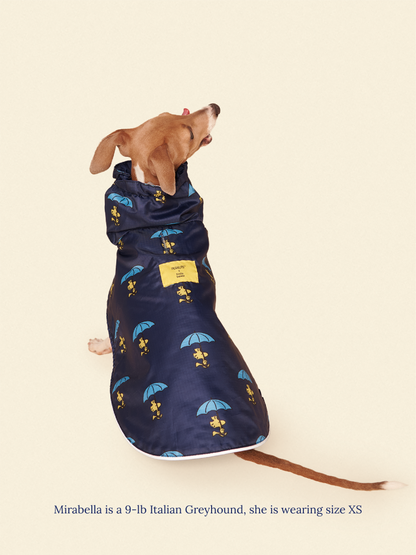 Snoopy and Woodstock Raincoat - Navy