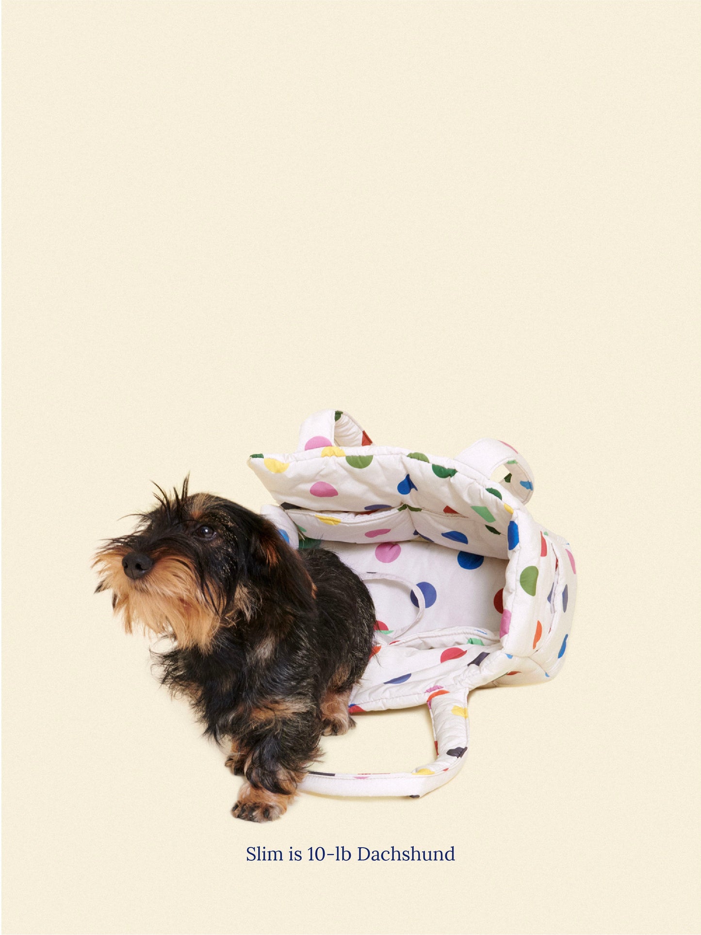 Evermark Factory Dog Carrier OS 25-CAR-MINI-PLK-RAINBOW-OS