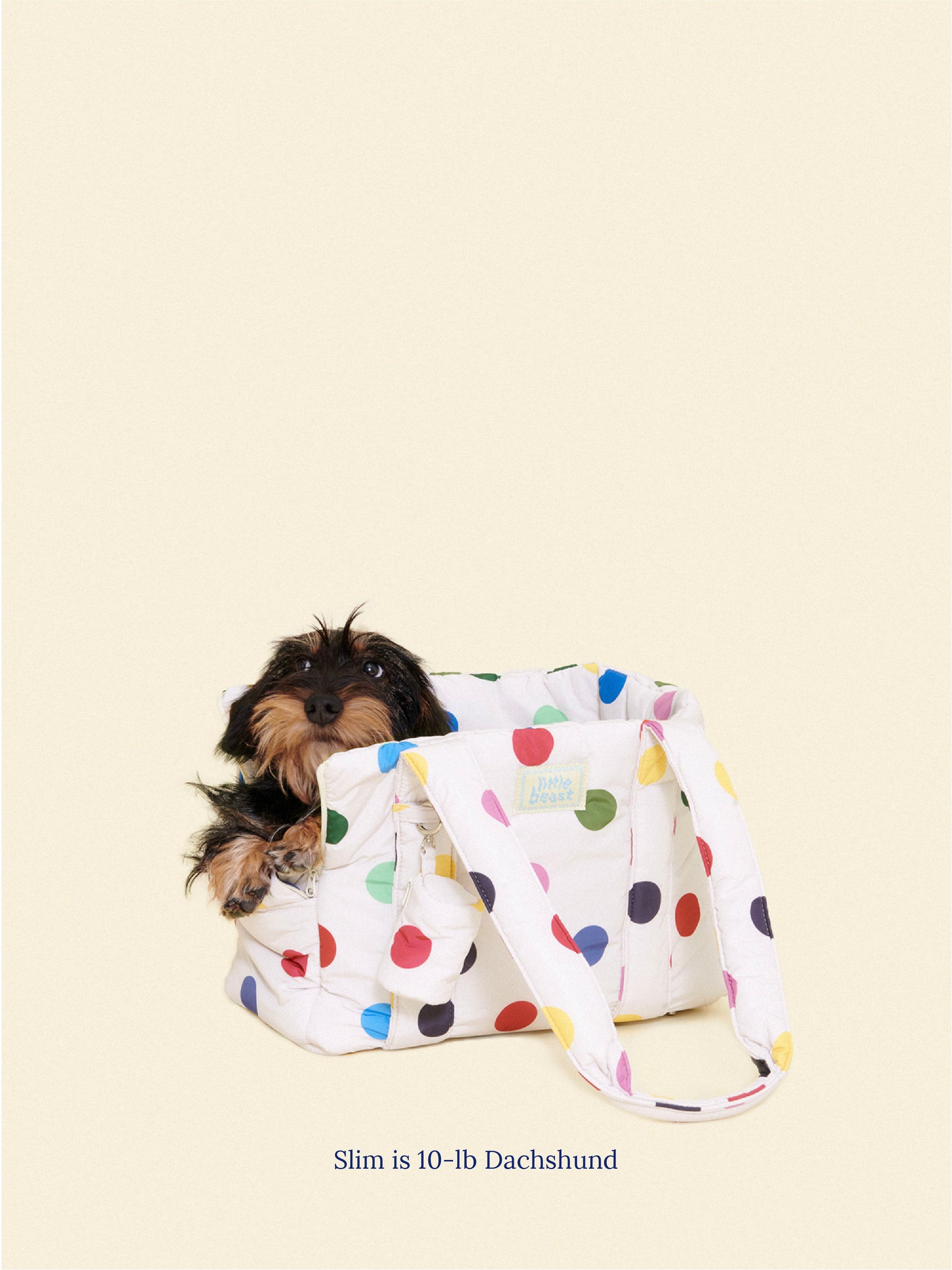 Evermark Factory Dog Carrier OS 25-CAR-MINI-PLK-RAINBOW-OS