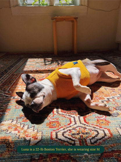 Little Beast Dog Sleeveless Shirt ADEDAS Sleeveless Shirt - Orange