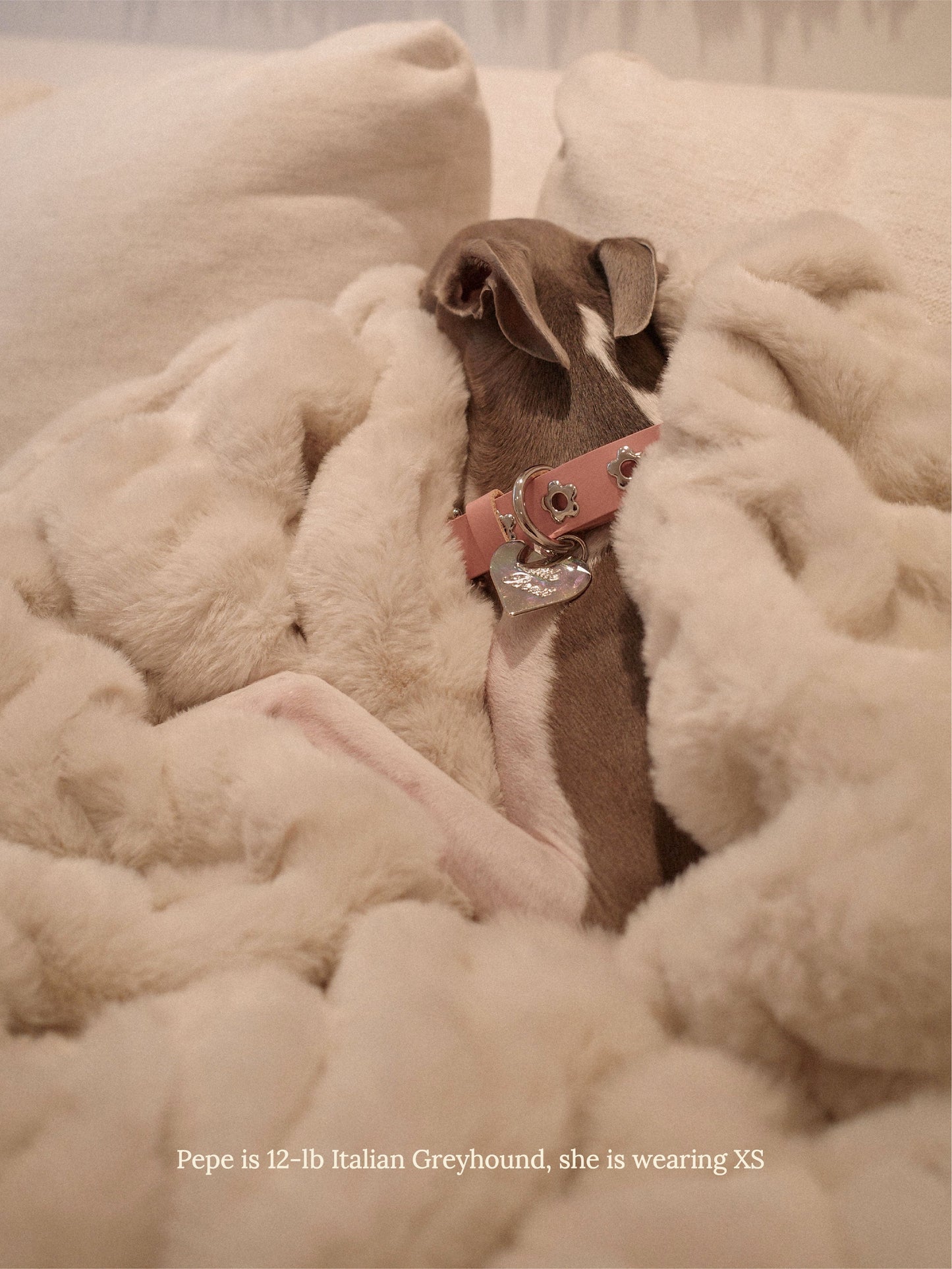 Little Beast Dog Collar Audrey - Flower Power Collar