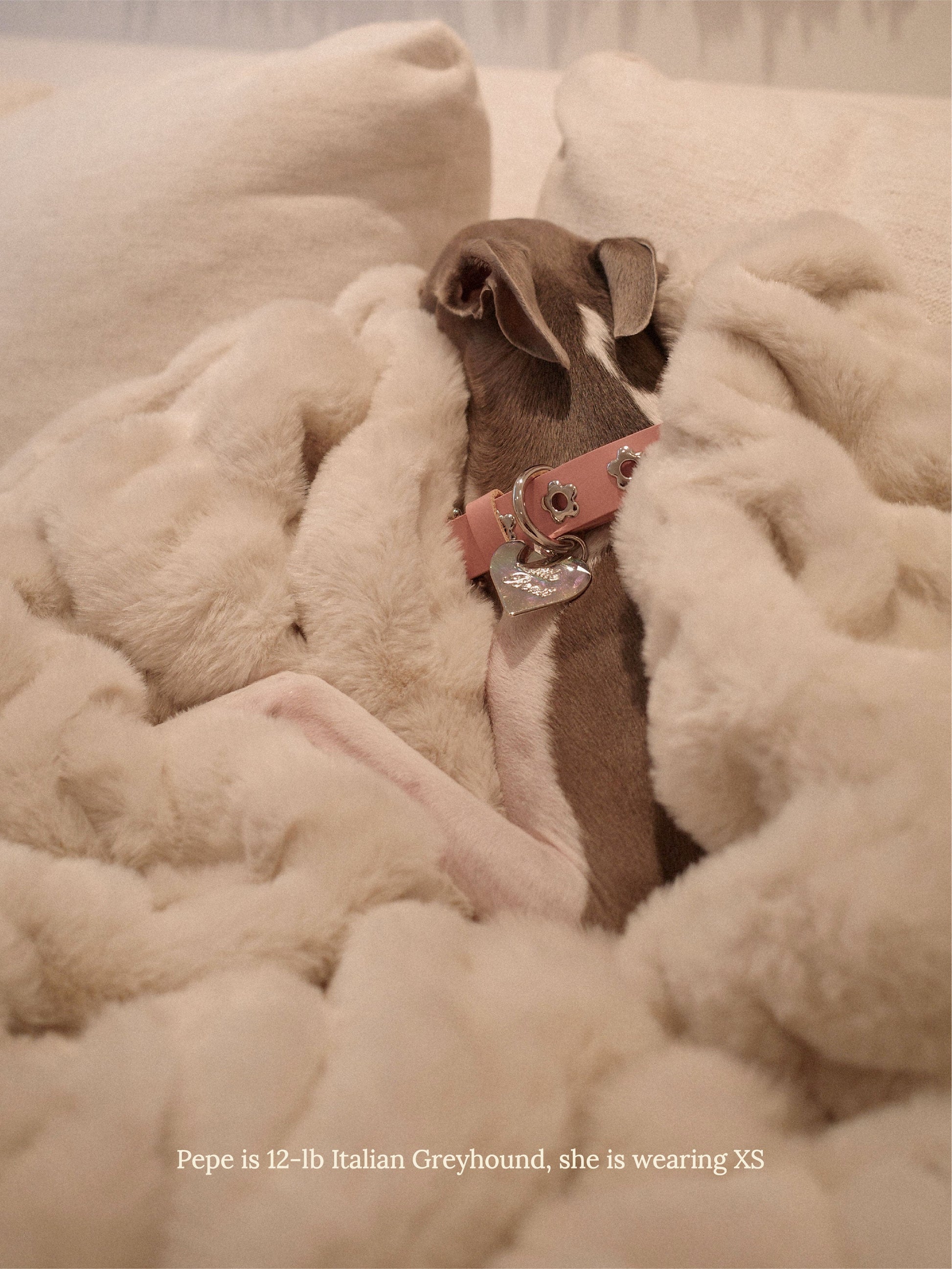 Little Beast Dog Collar Audrey - Flower Power Collar