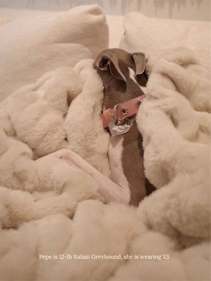 Little Beast Dog Collar Audrey - Flower Power Collar