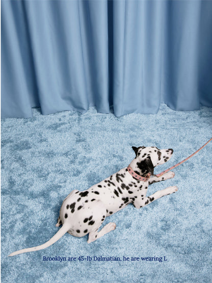 Little Beast Dog Collar Audrey - Flower Power Collar