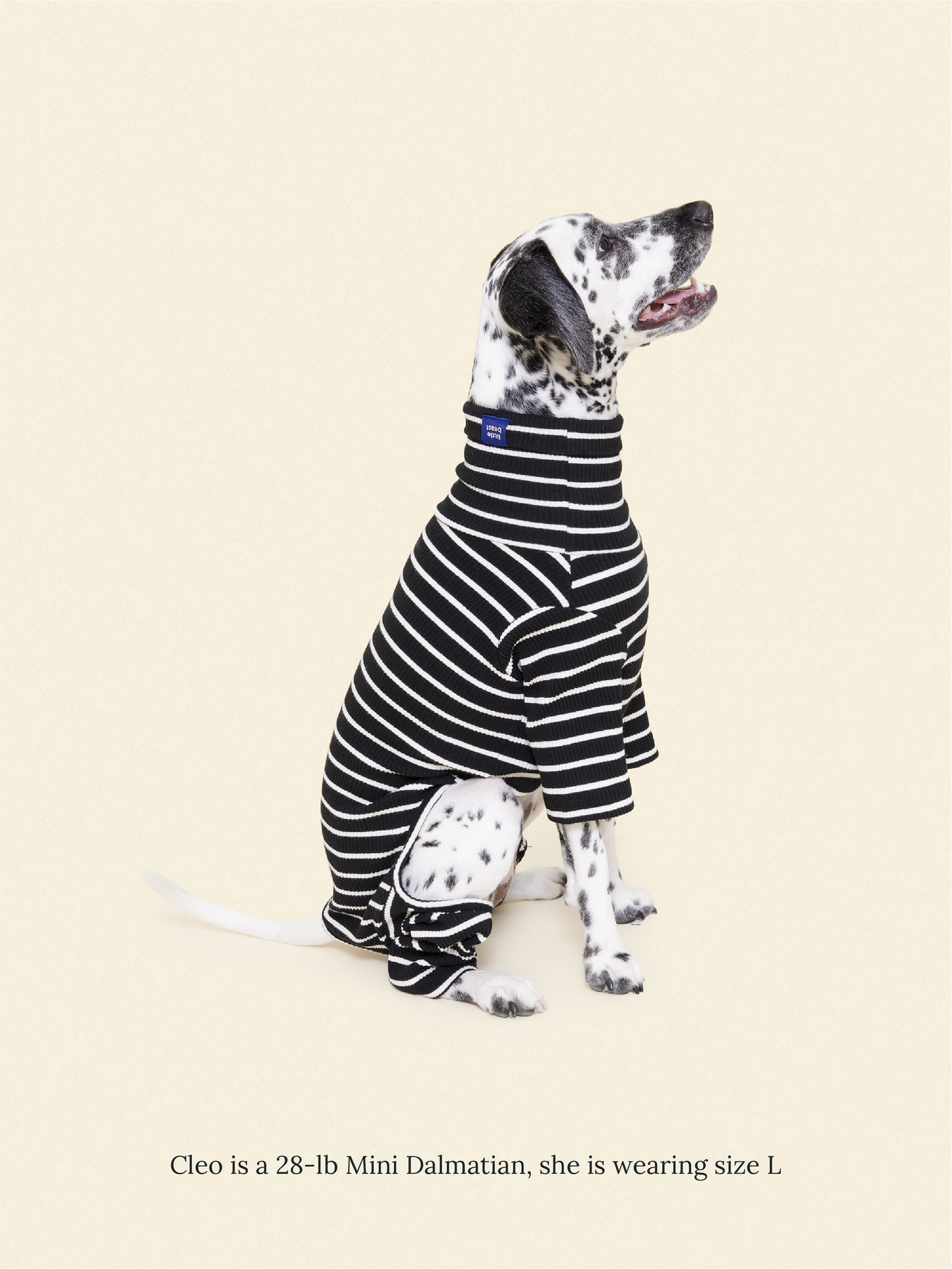 Little Beast Dog Onesie Café in Paris Onesie