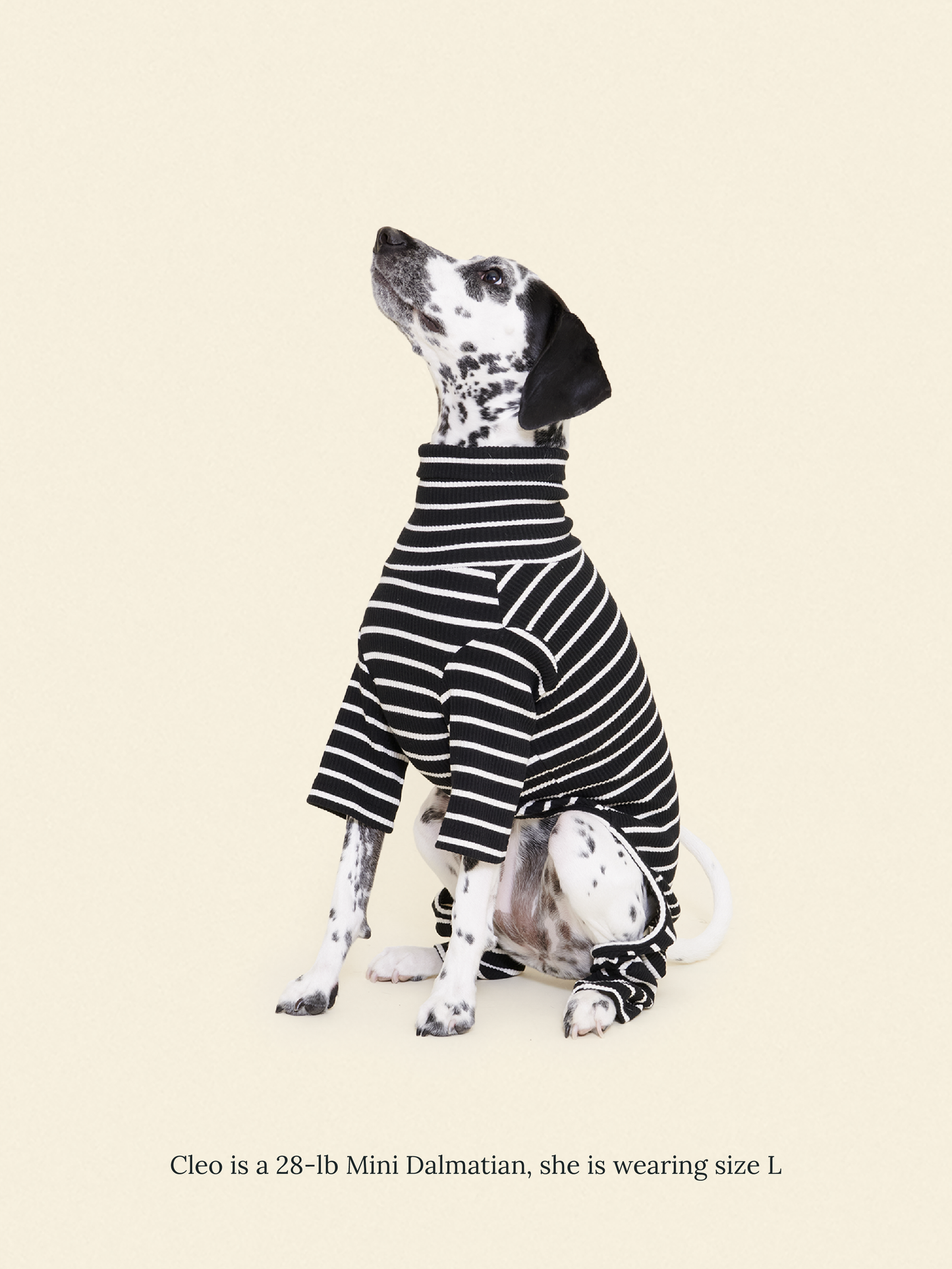 Little Beast Dog Onesie Café in Paris Onesie