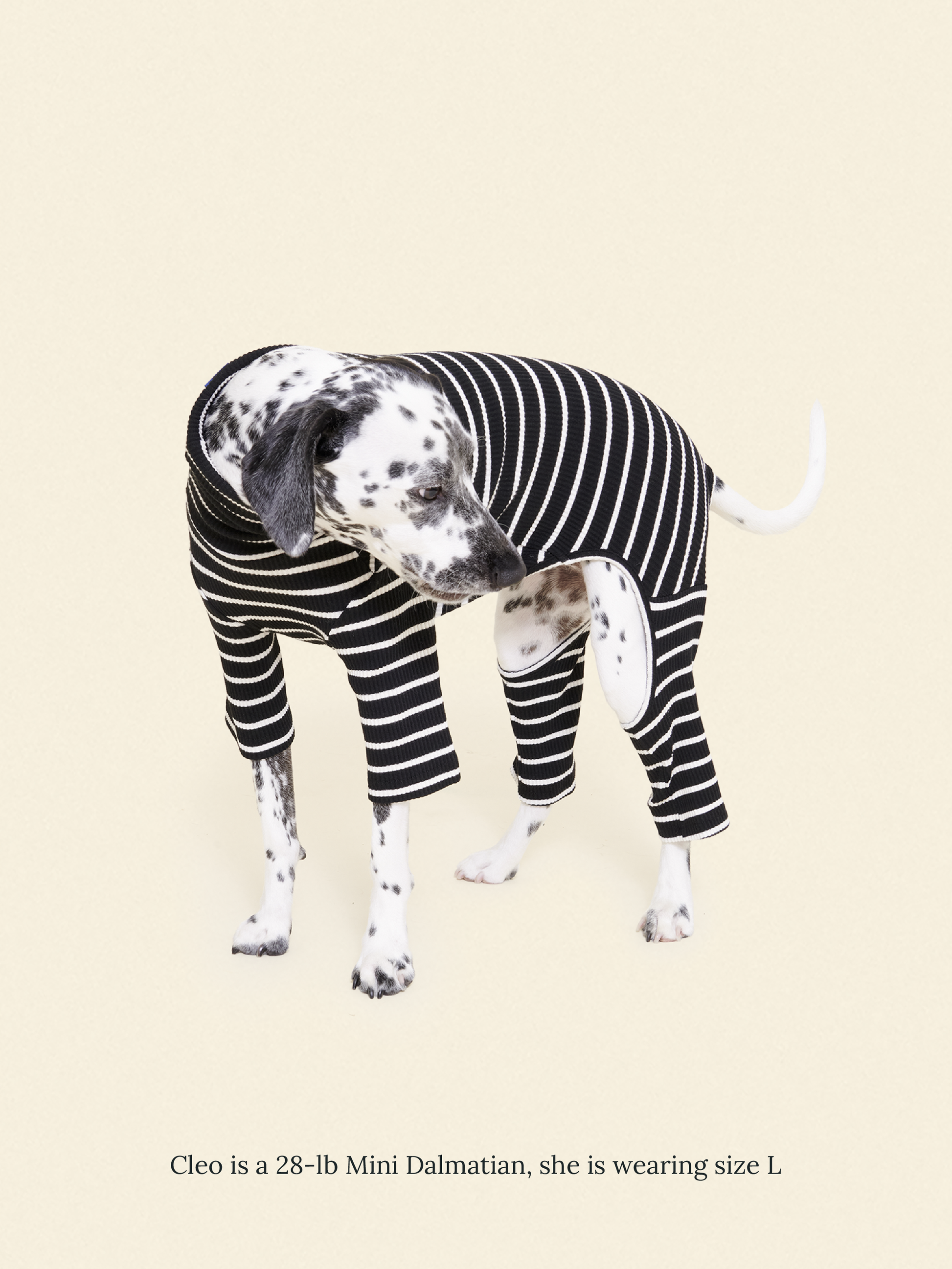 Little Beast Dog Onesie Café in Paris Onesie