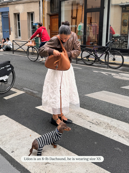 Little Beast Dog Onesie Café in Paris Onesie