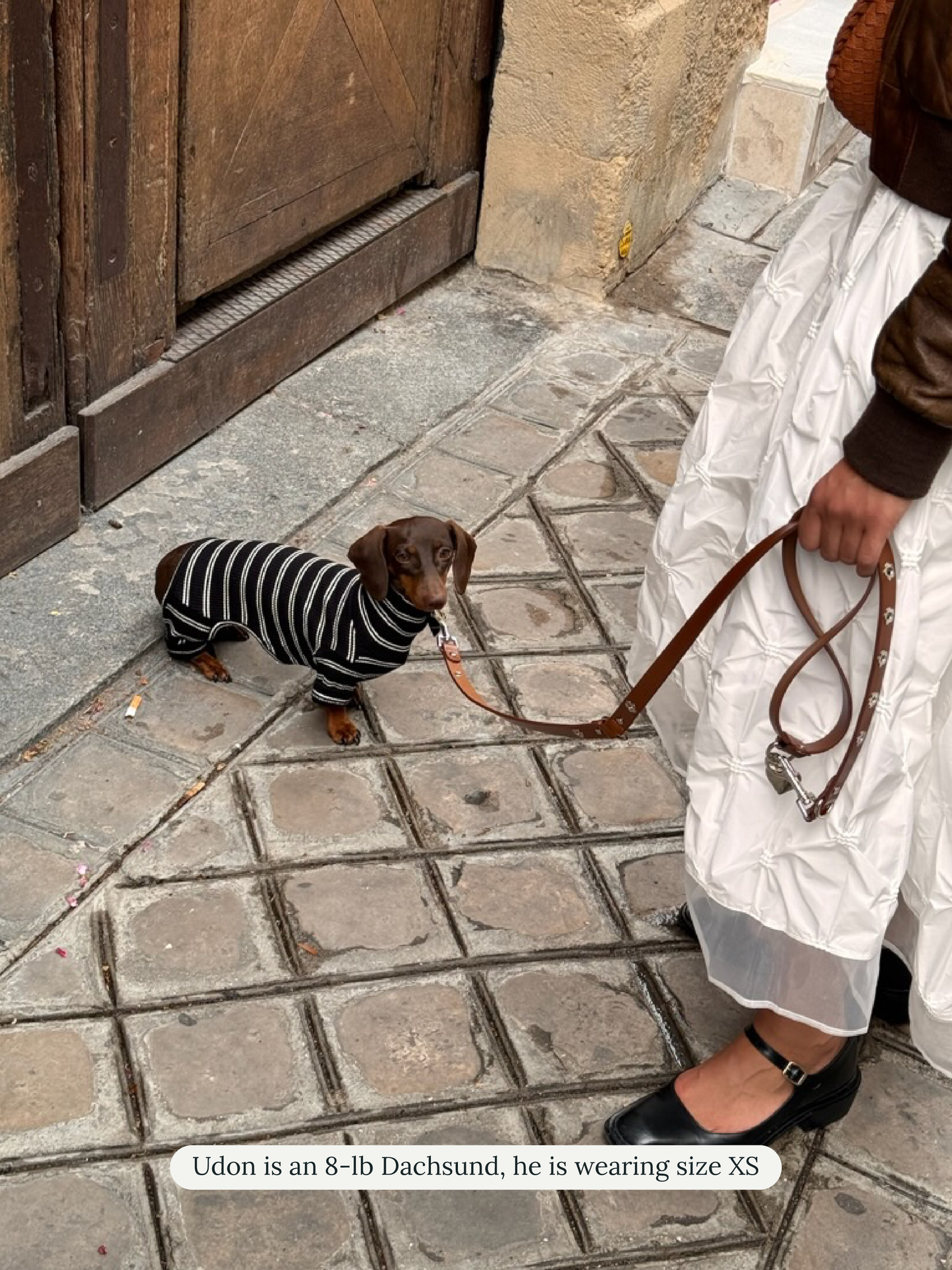 Little Beast Dog Onesie Café in Paris Onesie
