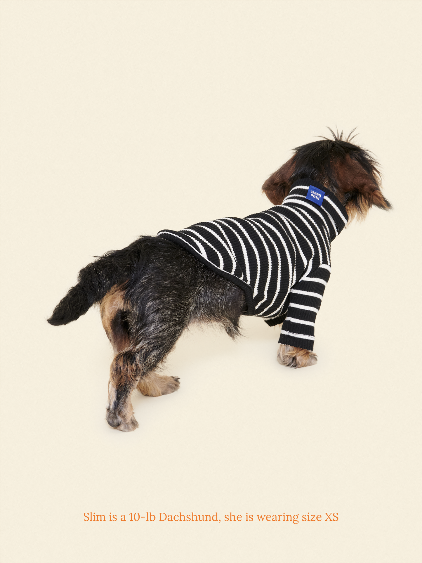 Little Beast Dog Shirt Café in Paris Sweatshirt