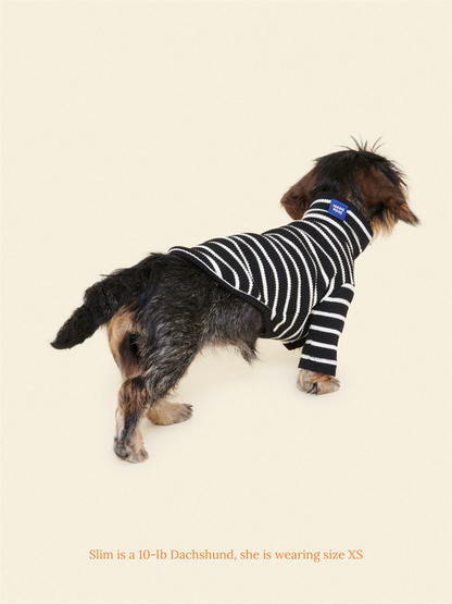 Little Beast Dog Shirt Café in Paris Sweatshirt