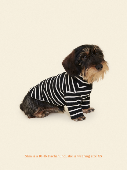 Little Beast Dog Shirt Café in Paris Sweatshirt