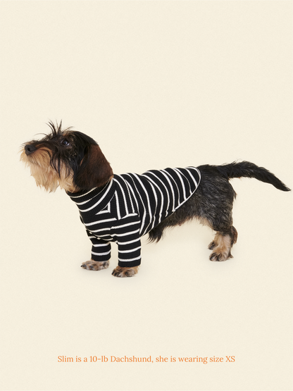 Little Beast Dog Shirt Café in Paris Sweatshirt