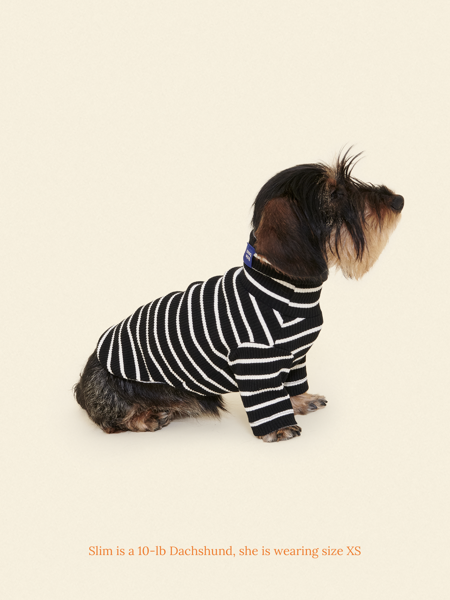 Little Beast Dog Shirt Café in Paris Sweatshirt