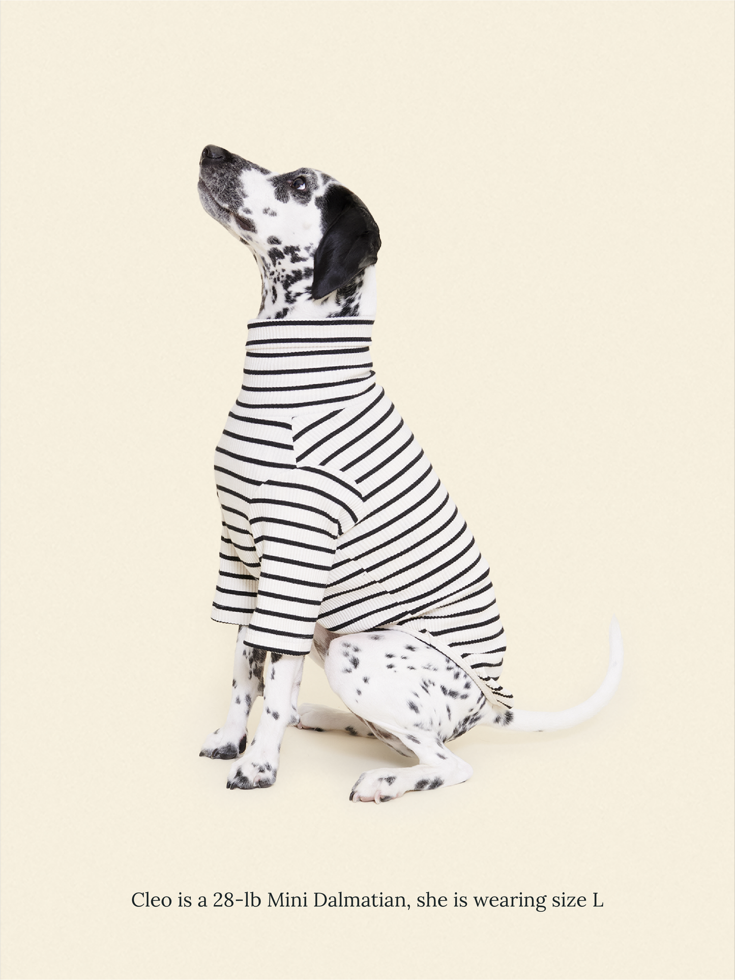 Little Beast Dog Shirt Café in Paris Sweatshirt