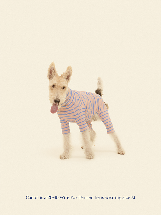 Little Beast Dog Onesie Catch Me Outside Onesie