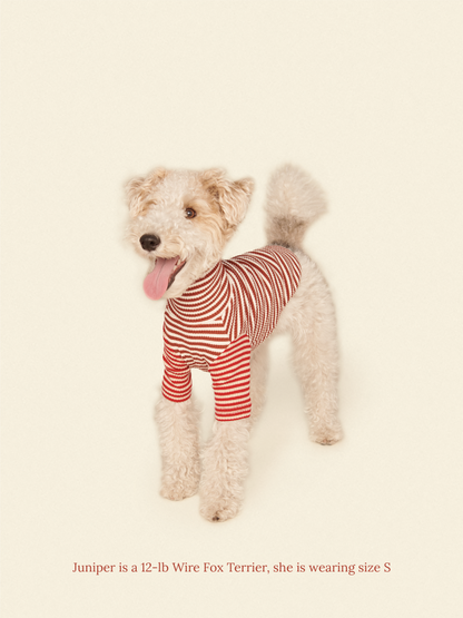 Little Beast Dog Onesie Cinnamon Bun Shirt