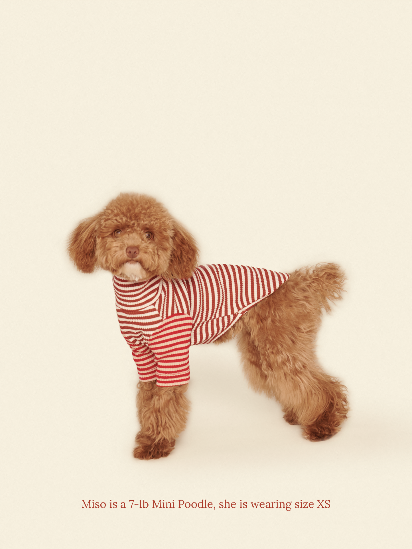 Little Beast Dog Onesie Cinnamon Bun Shirt