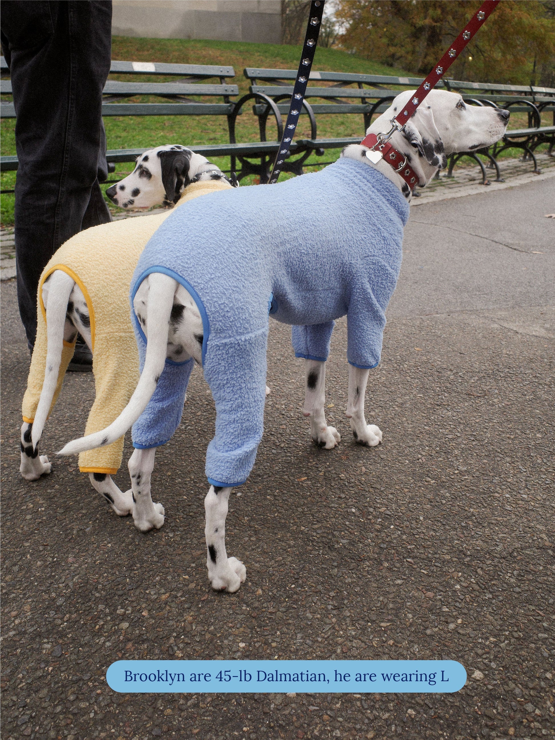 Little Beast Dog Fleece Onesie Cloud Nine Fleece Onesie