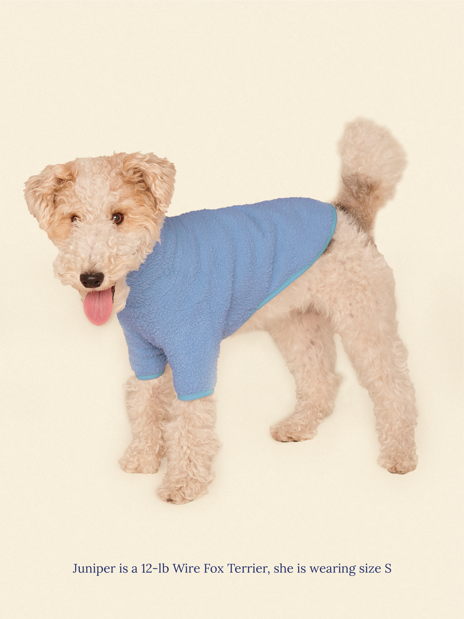 Little Beast Dog Fleece Shirt Cloud Nine Fleece Shirt