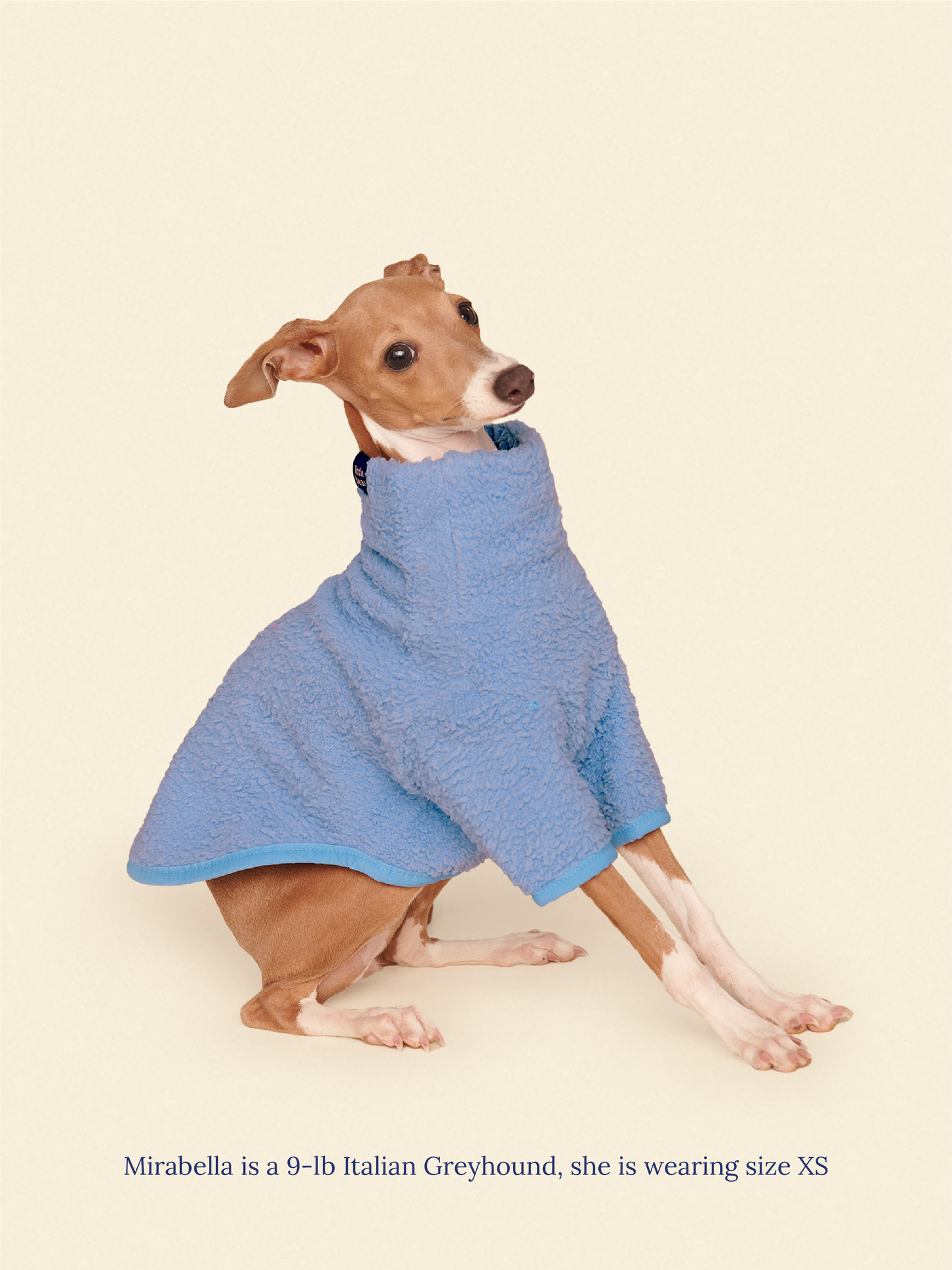 Little Beast Dog Fleece Shirt Cloud Nine Fleece Shirt