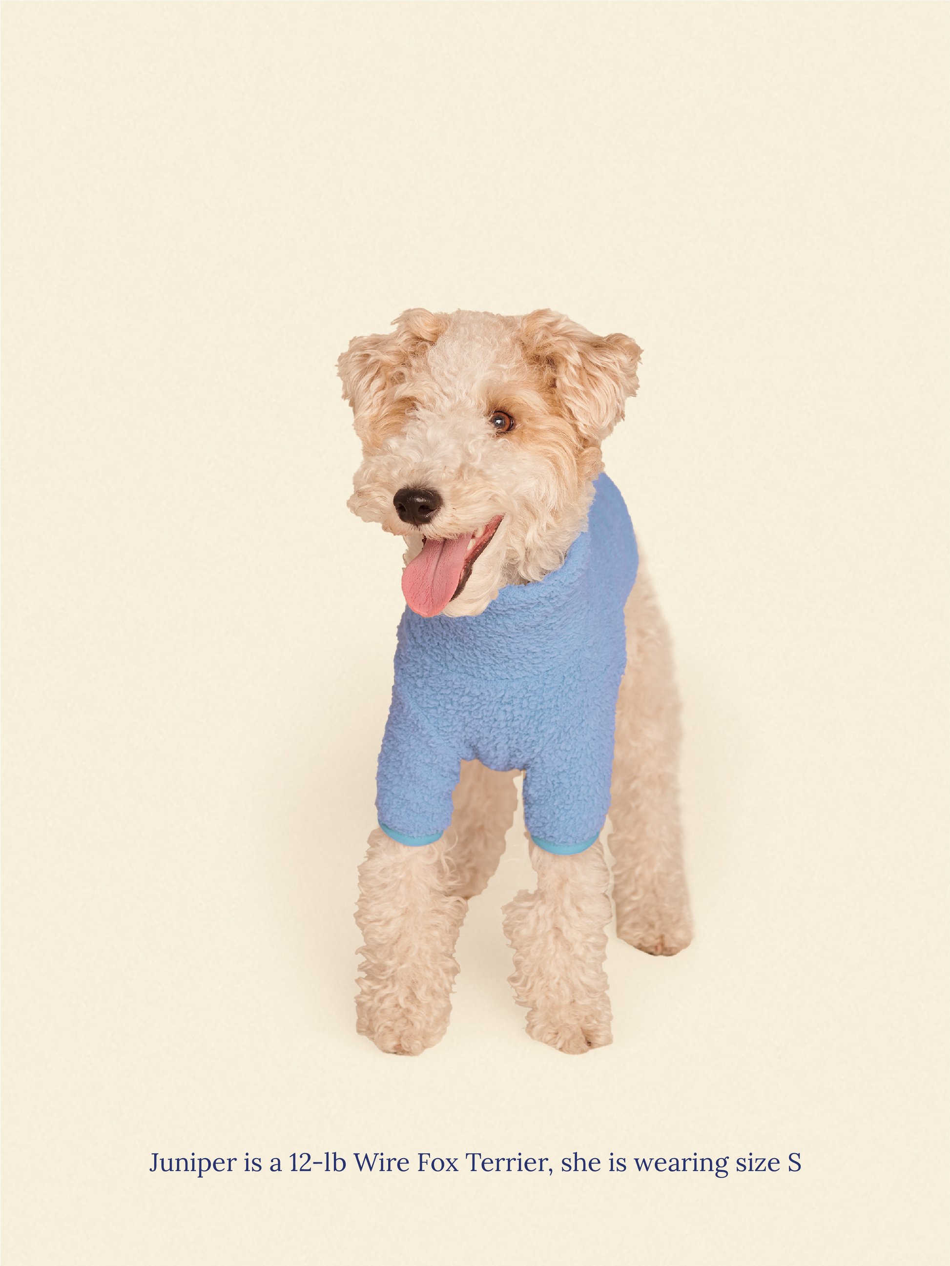 Little Beast Dog Fleece Shirt Cloud Nine Fleece Shirt