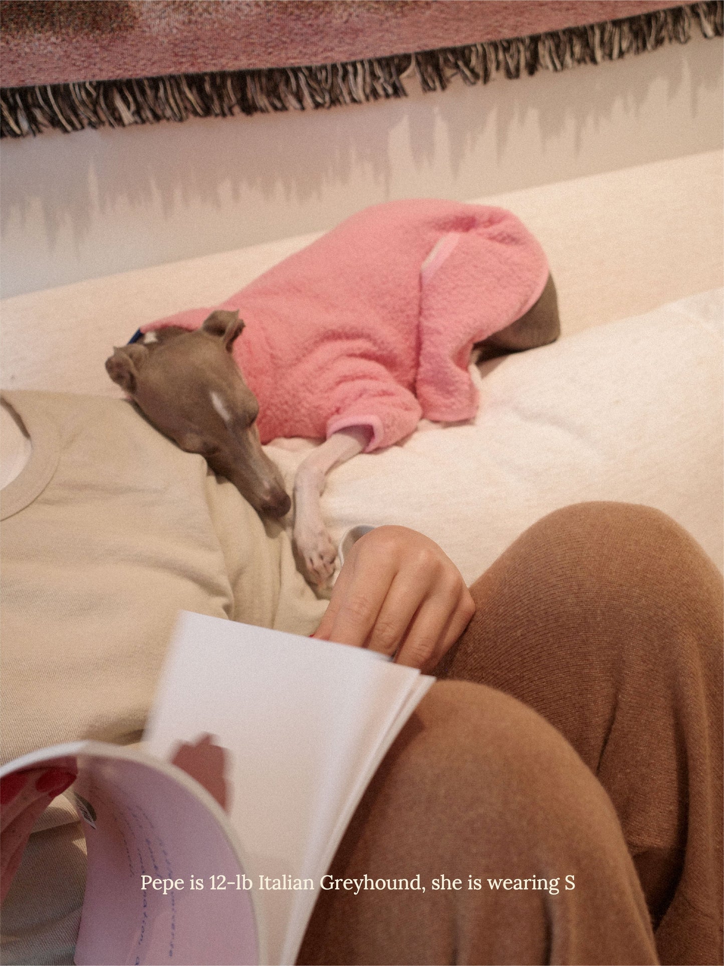 Little Beast Dog Fleece Onesie Cotton Candy Fleece Onesie