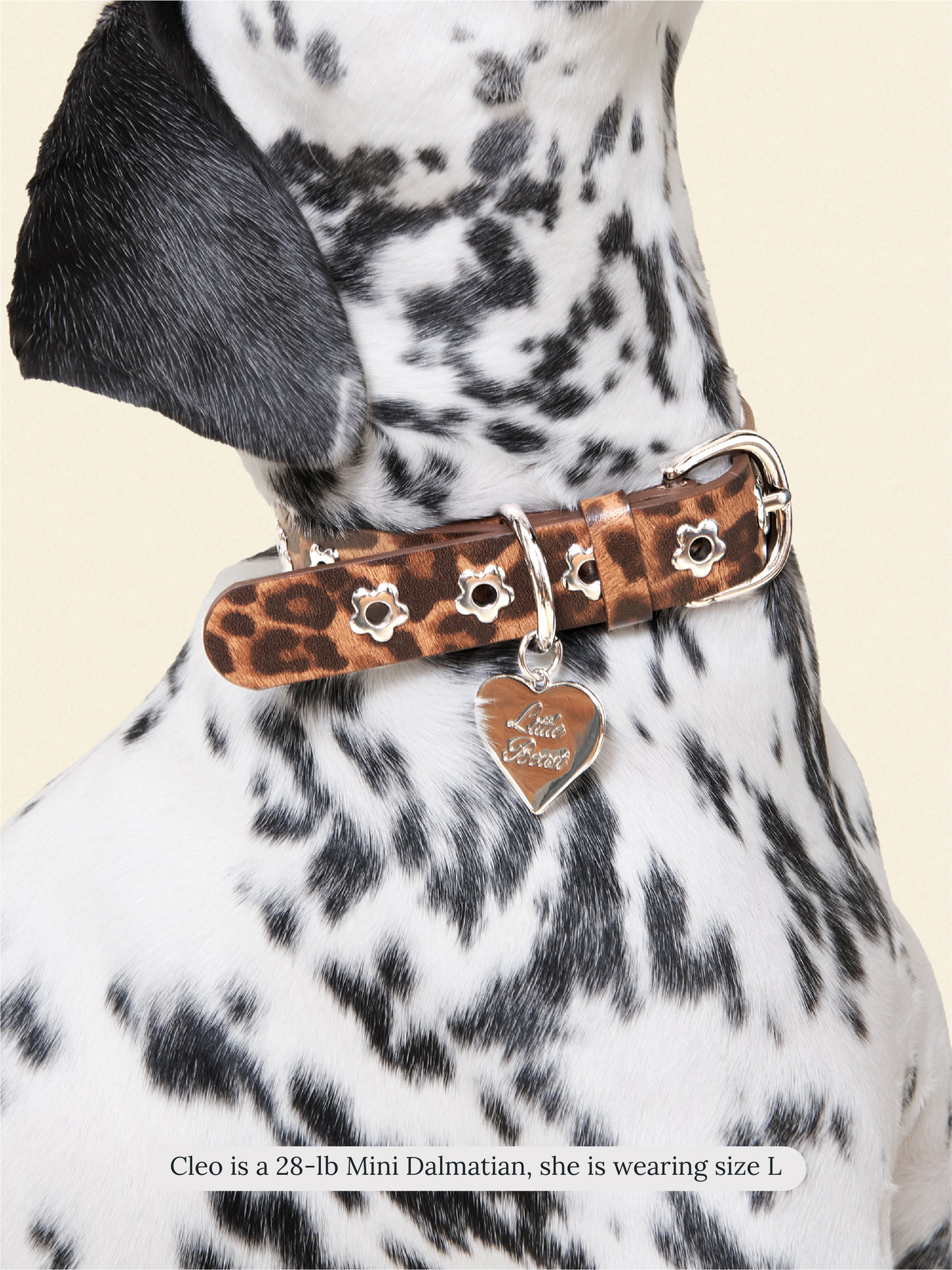 Little Beast Dog Collar Cougar - Flower Power Collar