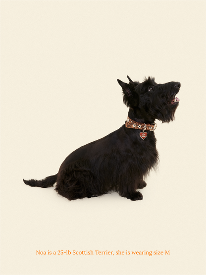 Little Beast Dog Collar Cougar - Flower Power Collar