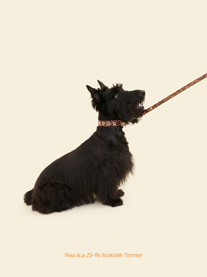 Little Beast Dog Leash ONESIZE Cougar - Flower Power Leash