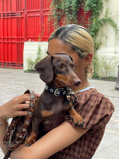 Little Beast Dog Leash ONE SIZE Cougar - Flower Power Leash