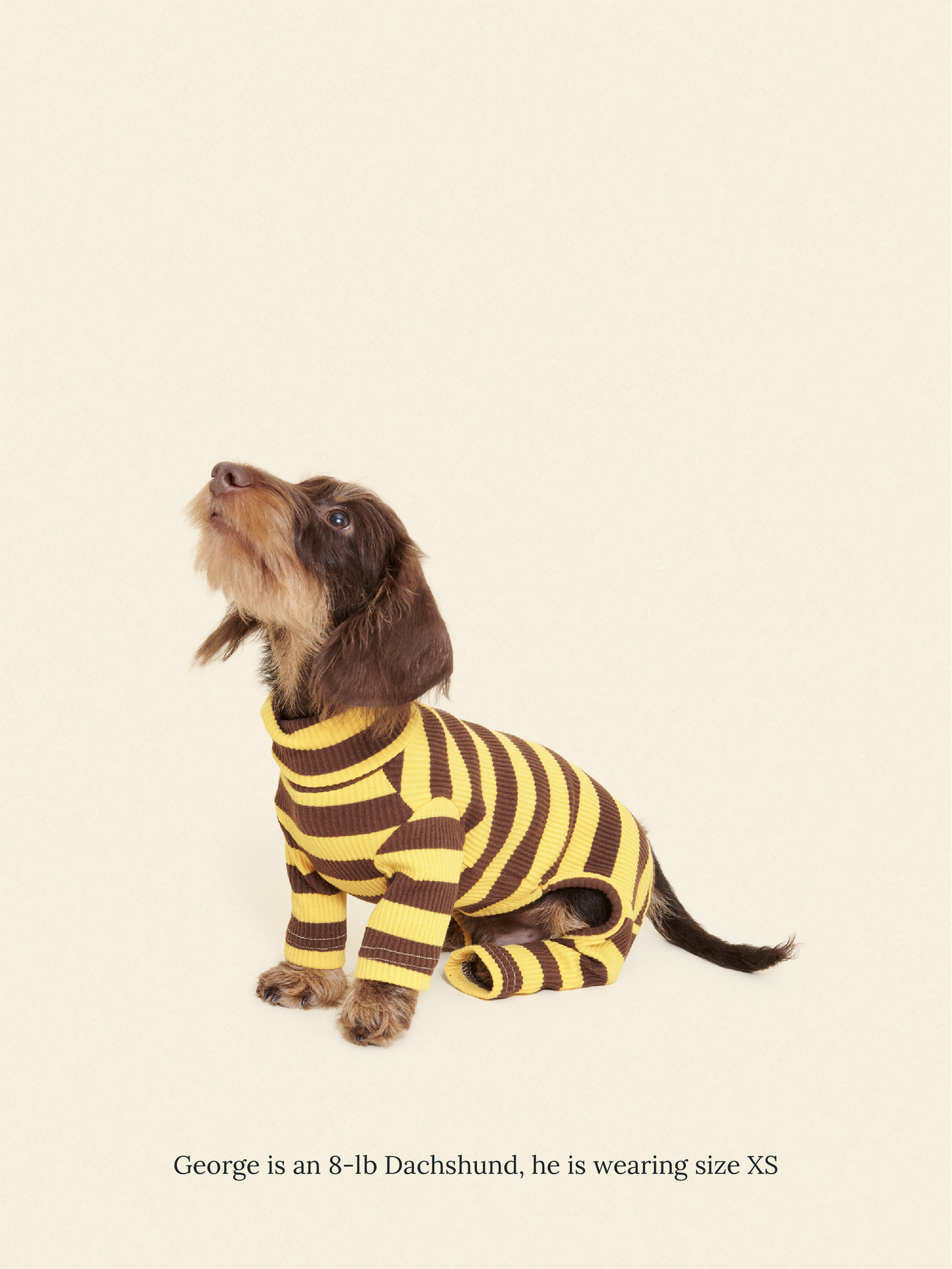 Little Beast Dog Onesie Dijon Onesie