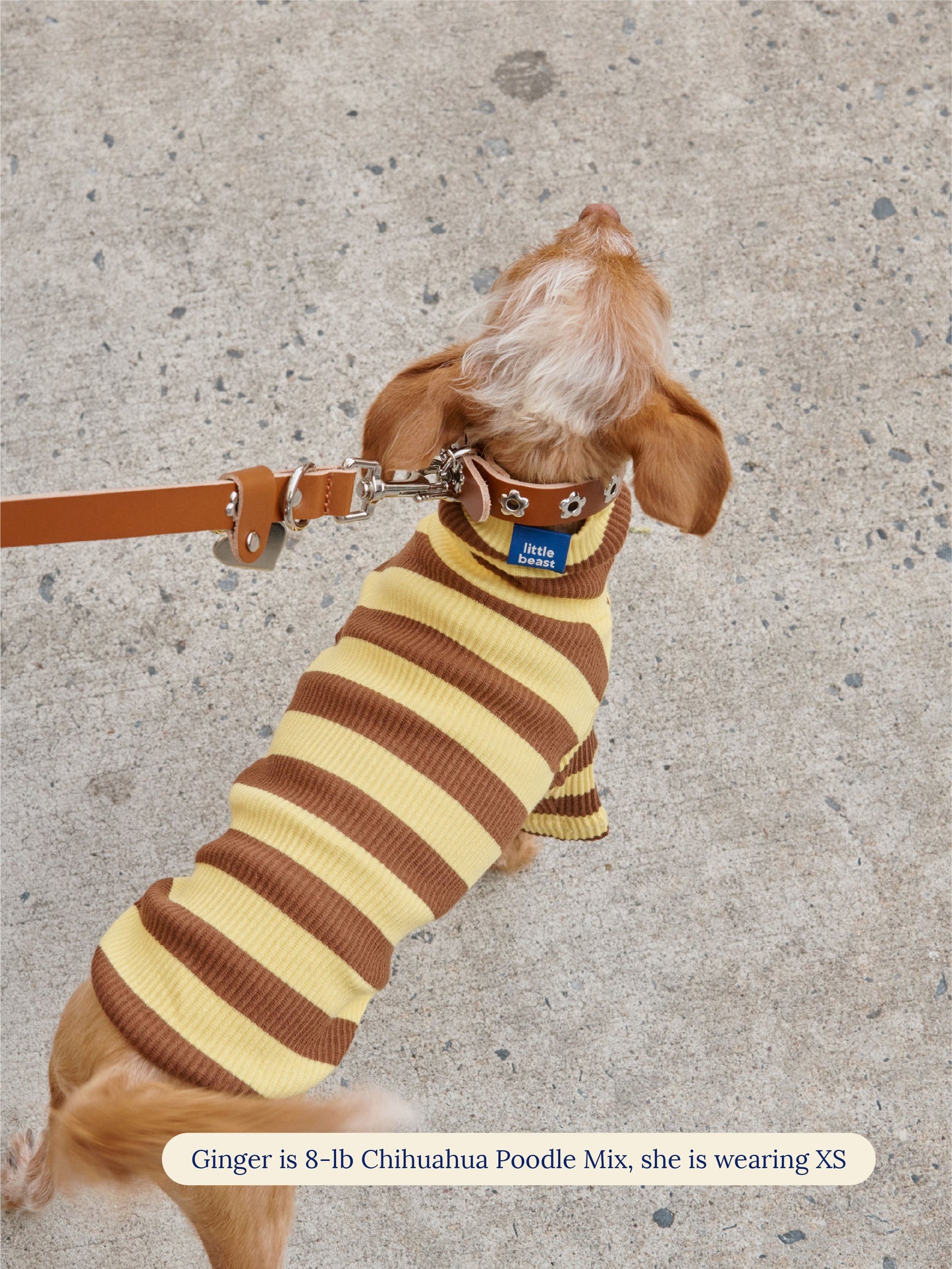 Little Beast Dog Onesie Dijon Shirt