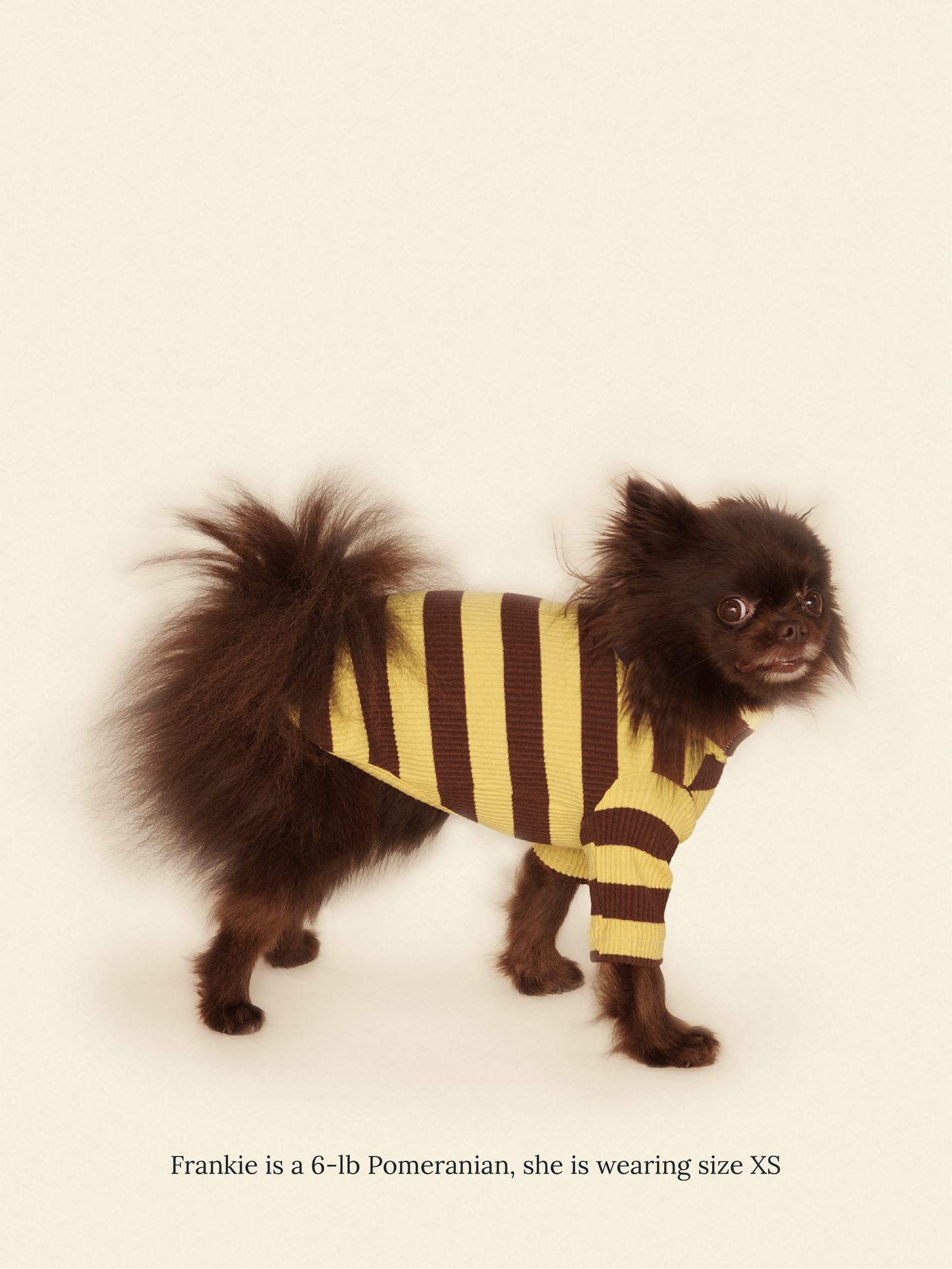 Little Beast Dog Onesie Dijon Shirt