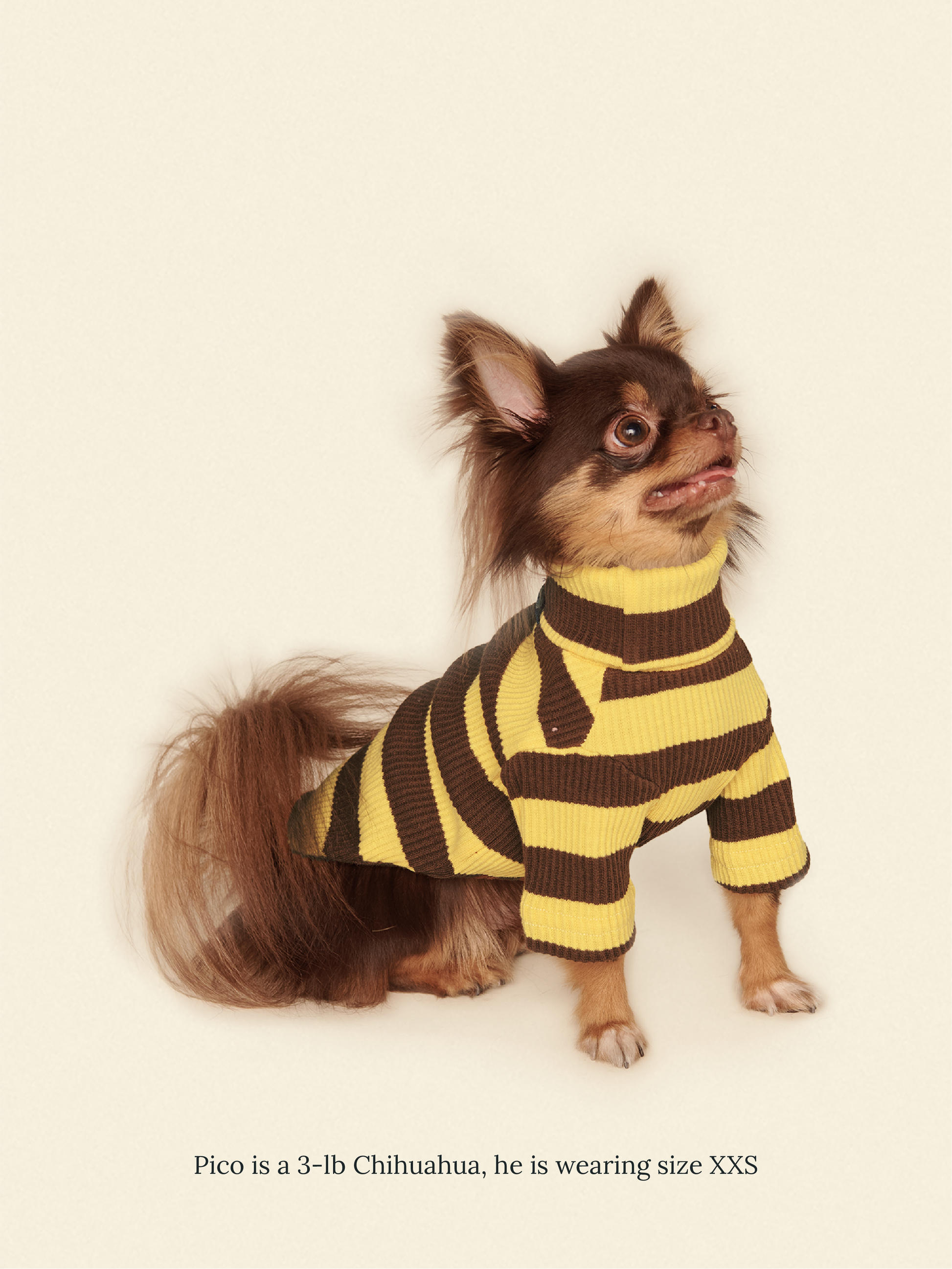 Little Beast Dog Onesie Dijon Shirt