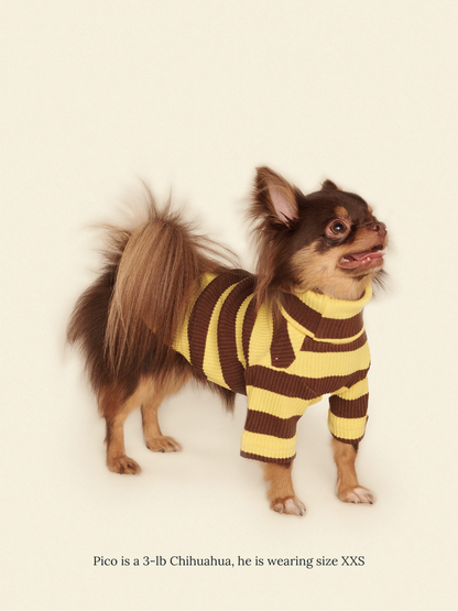 Little Beast Dog Onesie Dijon Shirt
