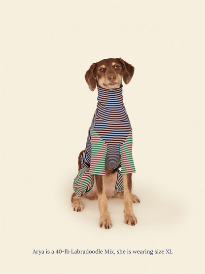 Little Beast Dog Onesie Earth and Sky Onesie