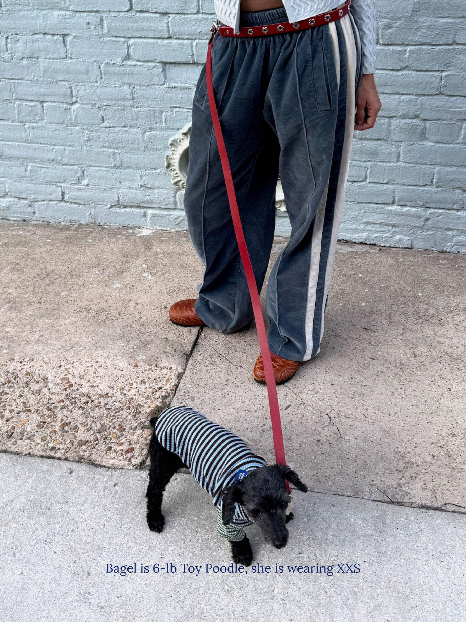 Little Beast Dog Shirt Earth and Sky Shirt