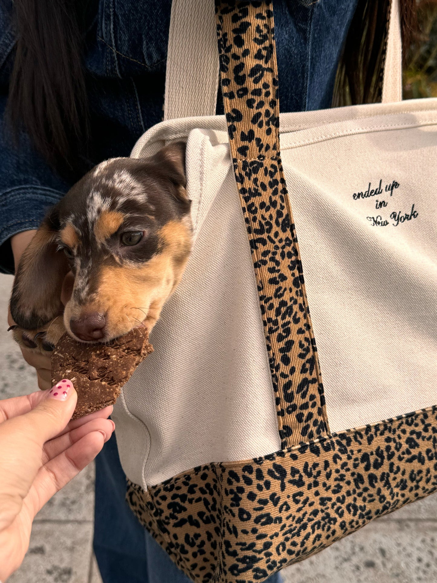 Little Beast Dog Carrier Ended Up in New York Canvas Tote