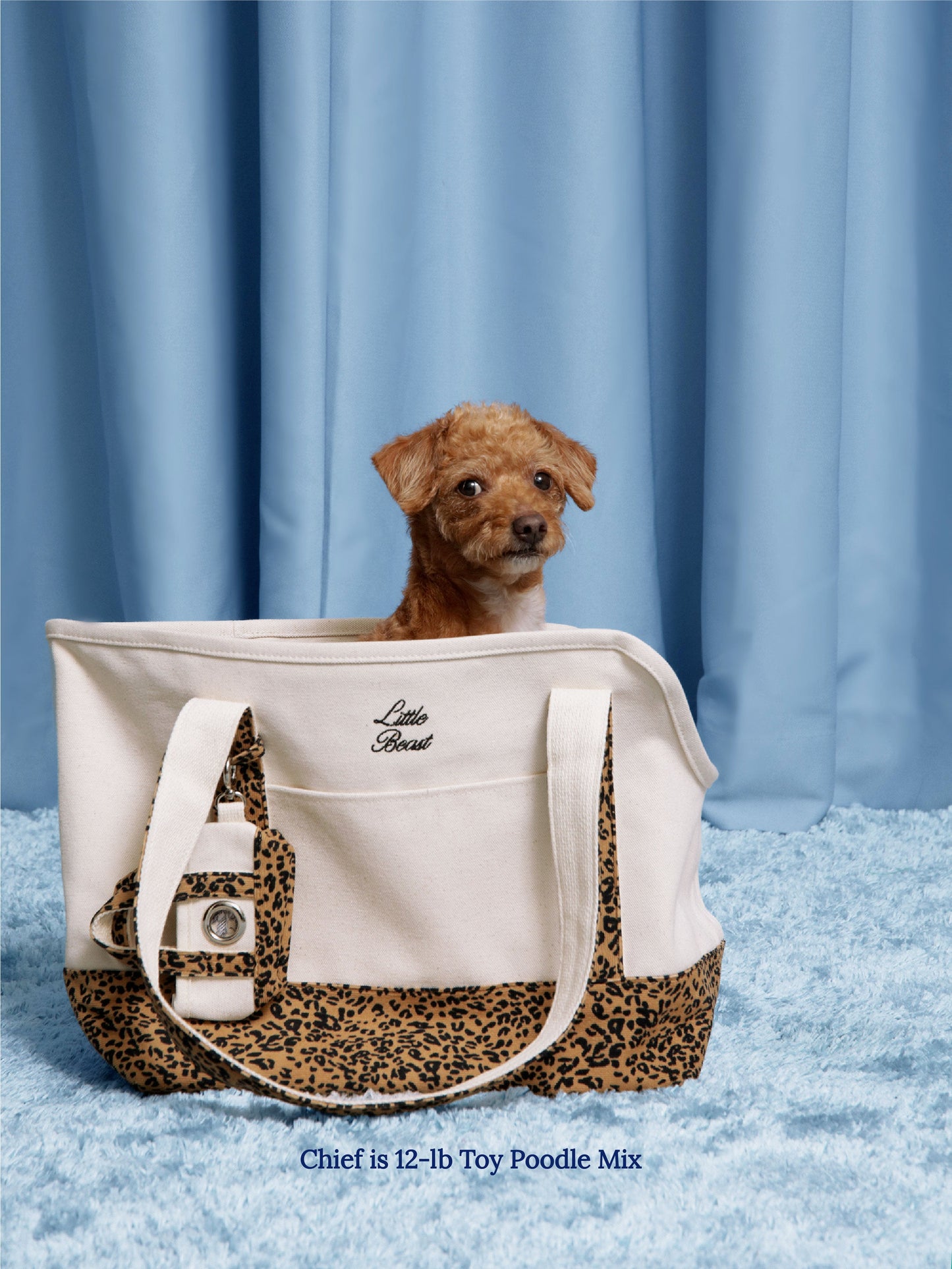 Little Beast Dog Carrier Leopard / ONE SIZE Ended Up in New York Canvas Tote